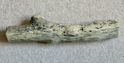 Driftwood large 43cm untreated - driftwood,