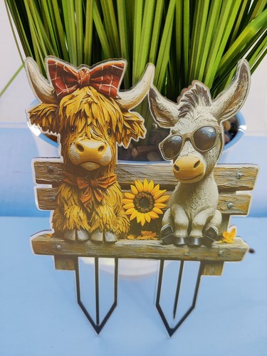 Highland cow donkey - highland, on
