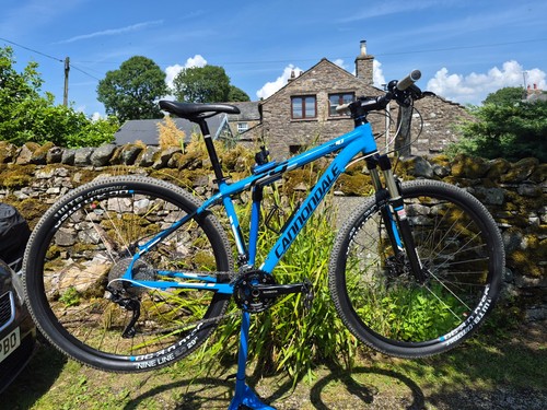 Cannondale trail sl1 29er - trail,