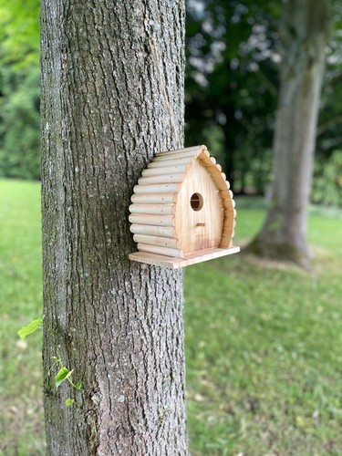Carbonised wooden bird house - wooden,