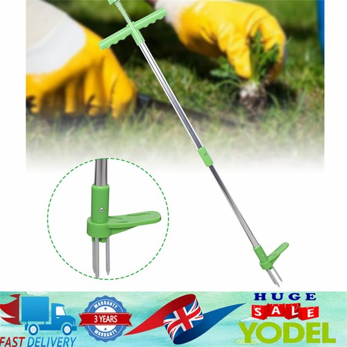 Weed cutter dandelion - weed,