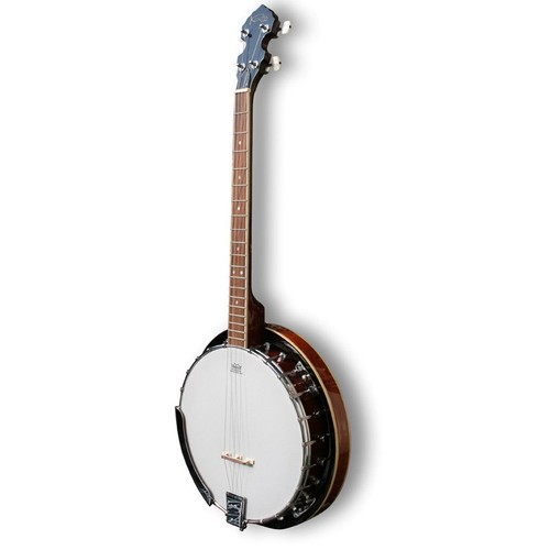 Banjo tenor string fret - banjo,