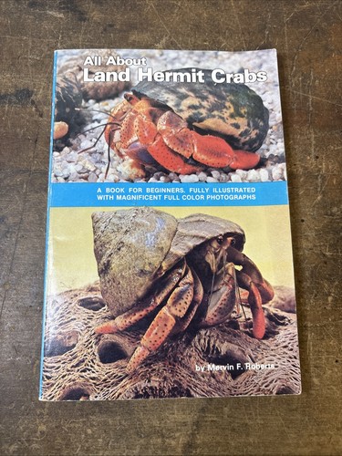 All about land hermit crabs - all,