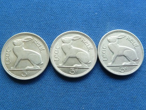 Set irish hare - set,