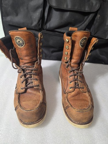 Red wing irish setter hunt - wing,