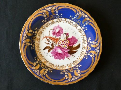 Vintage coalport rose auricula - vintage,