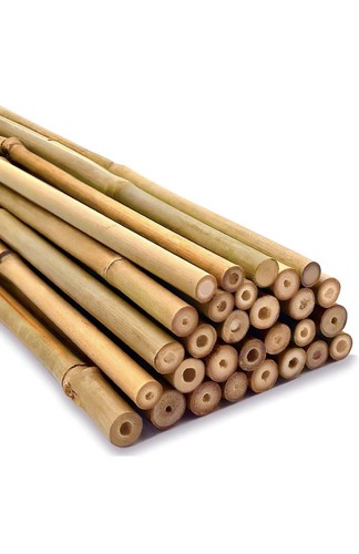 Heavy duty bamboo canes strong - bamboo,