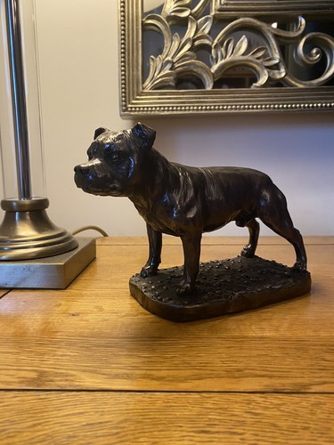 Staffordshire bull terrier - bull,