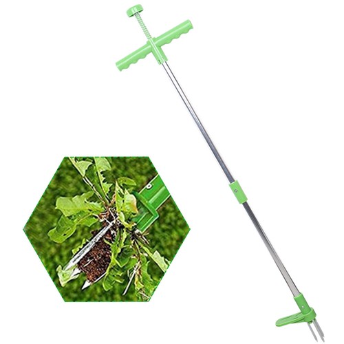 Weed cutter dandelion - dandelion,