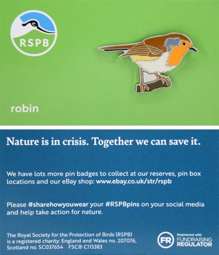 Rspb pin badge niic robin - badge,