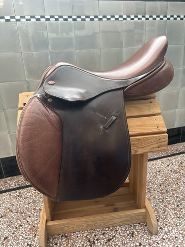 Jeffries elite english - jeffries,