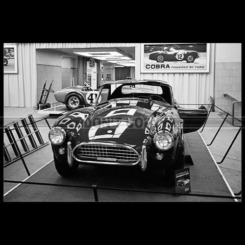 Photo 029325 shelby cobra - shelby,