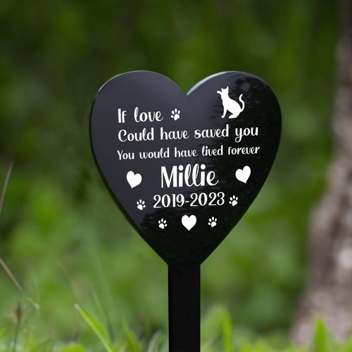 Personalised cat kitten - cat,