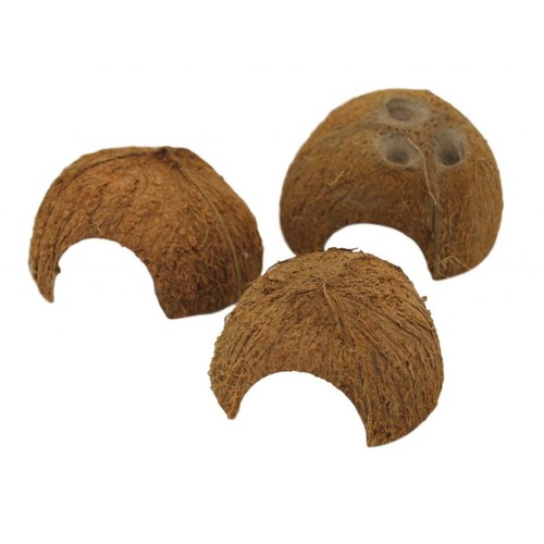 Half coconut shelter 1 - x,