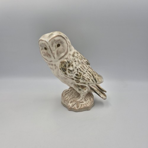 Ingleton studio pottery - studio,