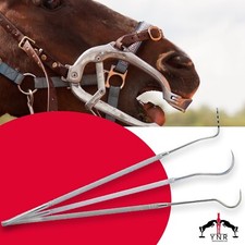 15" Equine Horse Dental Teeth