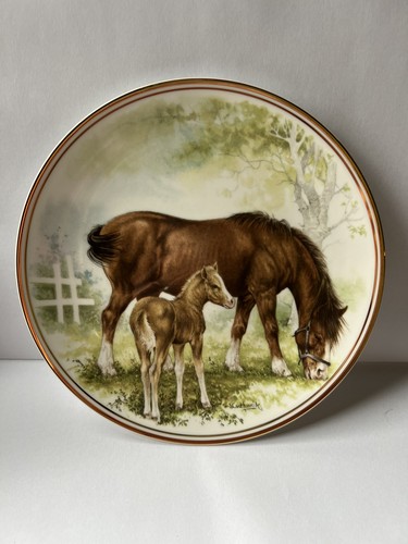 Collectable horse with - collectable,