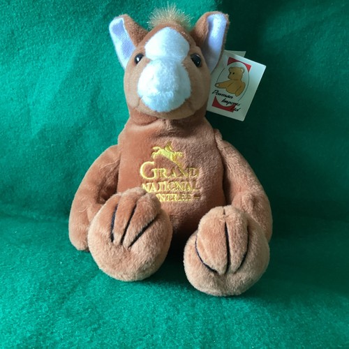 Grand national horse - national, race
