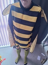 Bumble Bee Fancy Dress,large