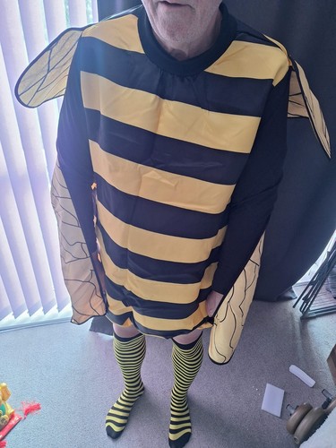 Bumble bee fancy dress large - bumble,