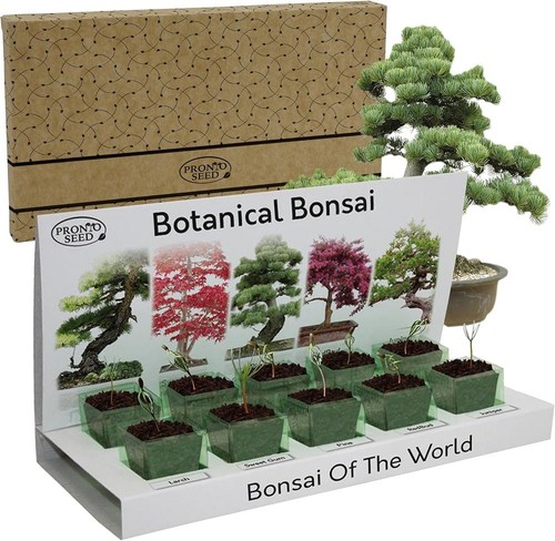 Grow your own bonsai - your, kit