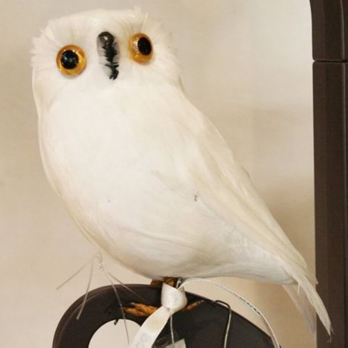 Puebco artificial bird owl - artificial,
