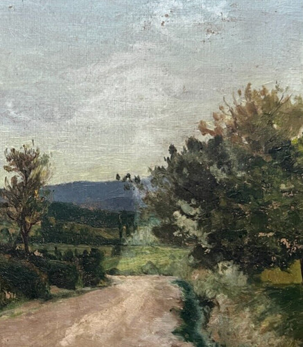 Landscape forest trees - forest,