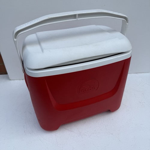 Igloo island breeze - 28, qt