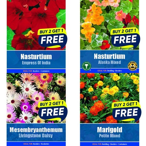 Flower seeds plants - flower,