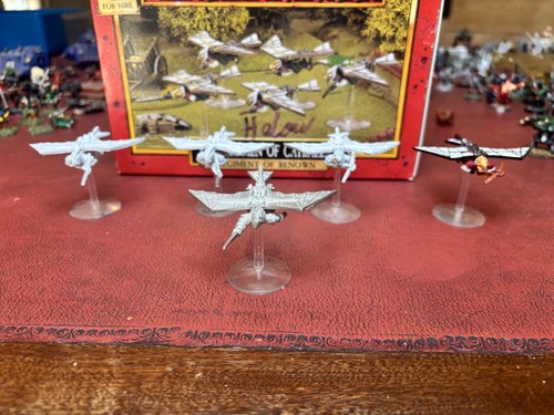 Warhammer old world birdmen - birdmen, of