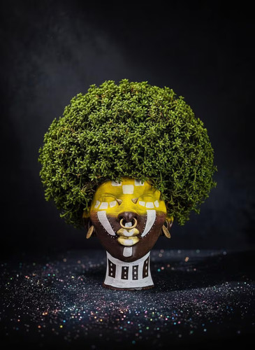 Ashanti warrior head planter - ashanti,