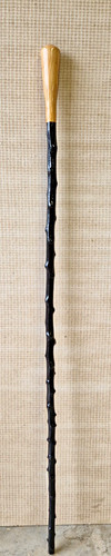 Blackthorn stick lovely - blackthorn, stick.