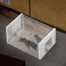 Rat Mouse Trap Catcher Humane