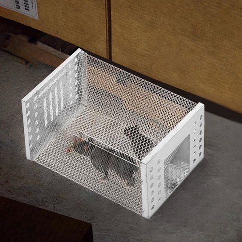 Rat mouse trap catcher - trap, humane
