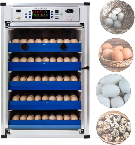 Automatic digital incubator - automatic,