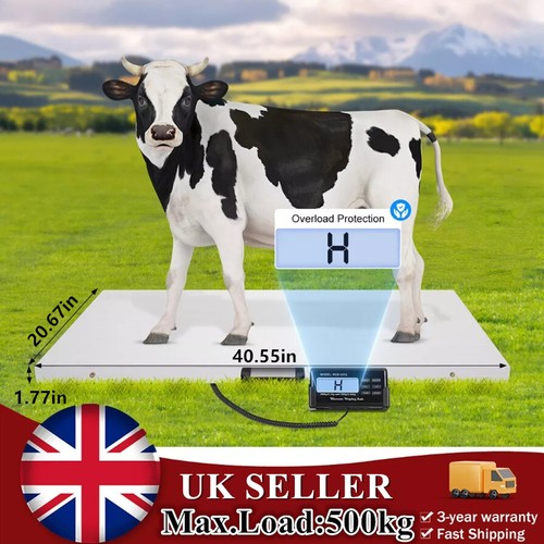 Digital veterinary scale - veterinary,