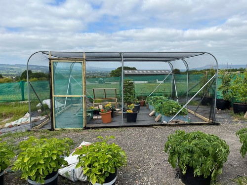 Fruit cage veg - walk, in