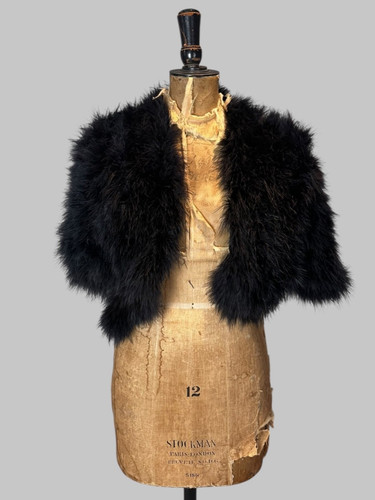 Vintage black feather - black,