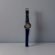 Citizen Eco-Drive Skyhawk