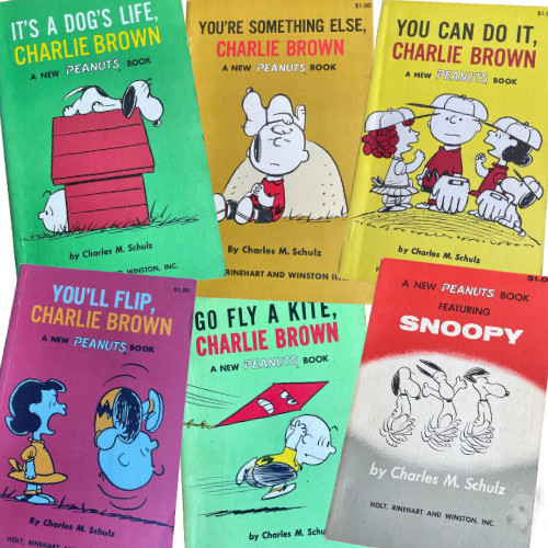 Peanuts charlie brown - 6x,