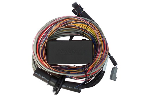 Haltech ecu elite - ecu, 750