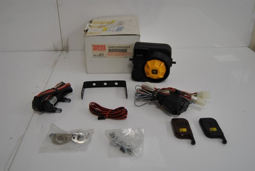 Electronic antitheft alarm - electronic,