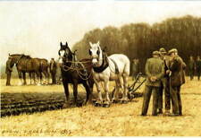 'PLOUGHING MATCH' - PAIRS OF
