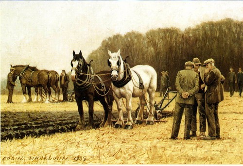 Ploughing match pairs of - match',