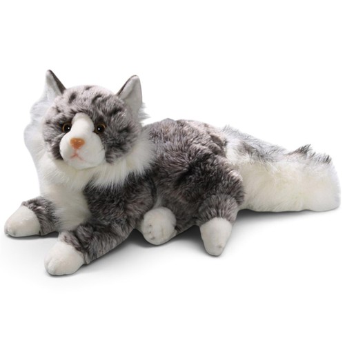 Carl dick cat maine - dick,
