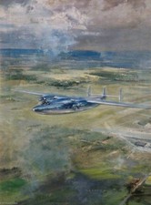 Airspeed Ambassador : Frank