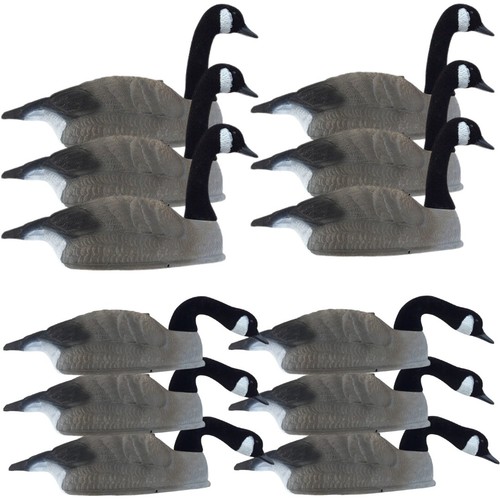 Canada goose decoy - shell, x12