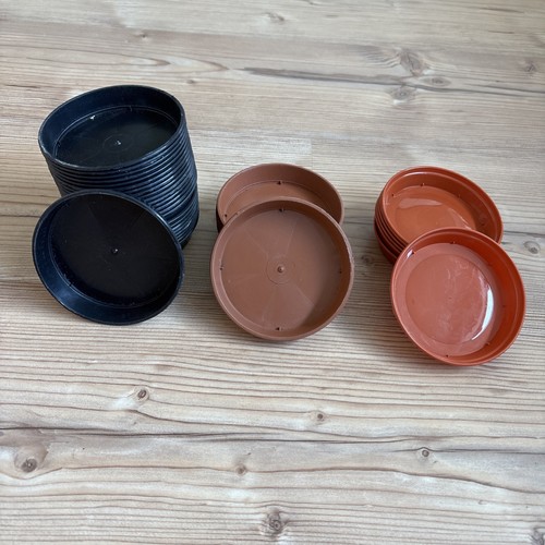 38x 9cm round - 38x, plant