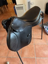 John Whitaker 16” Rio