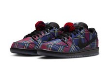 NIKE SB DUNK LOW PRO QS x
